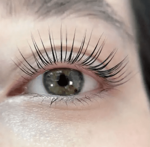 Close-up of a beautifully lifted natural lash after a Korean Lash Lift at Lashes On Point Mill Park.